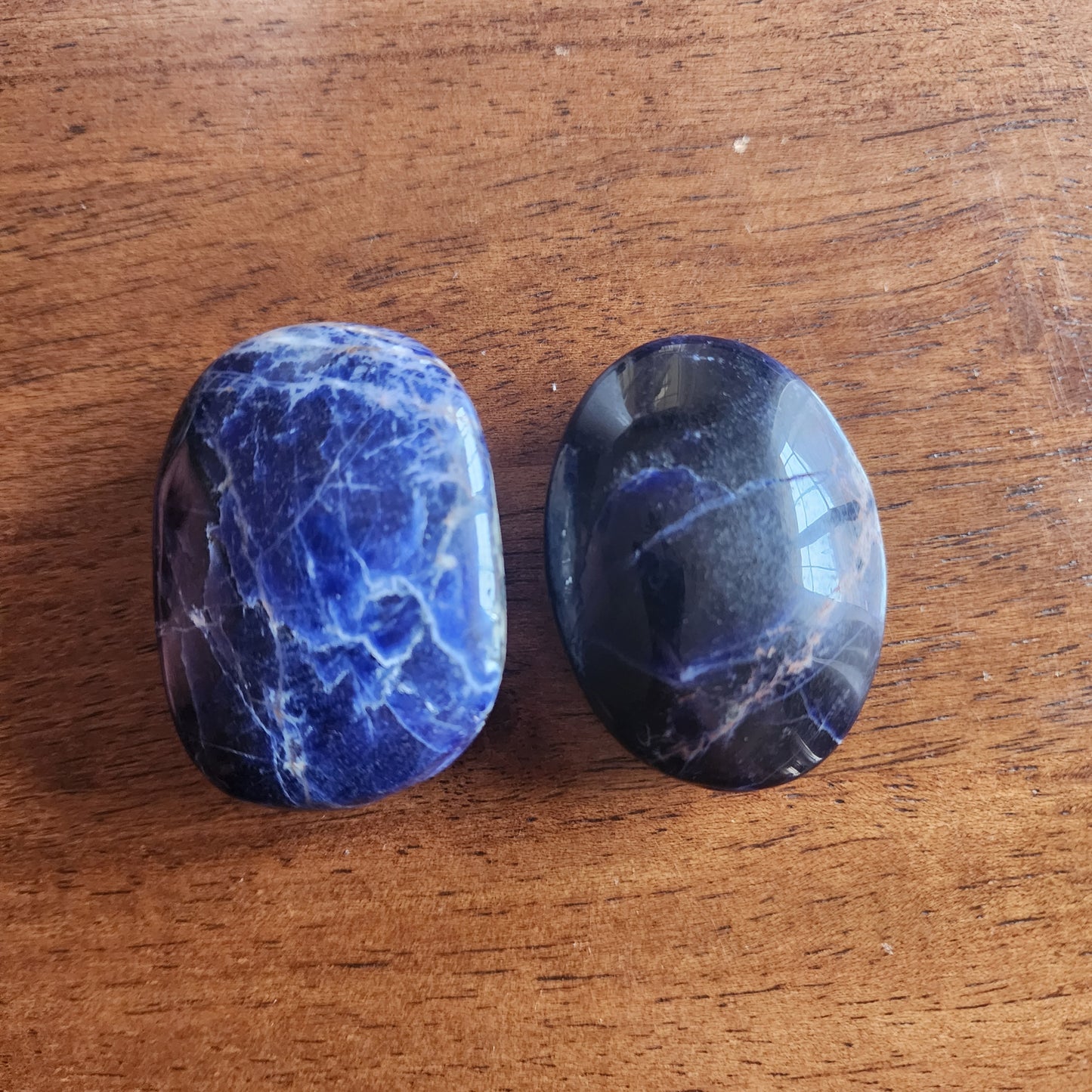 Sodalite Palms